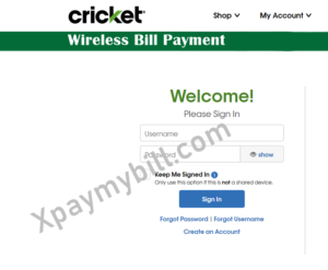 my cricket app pay bill