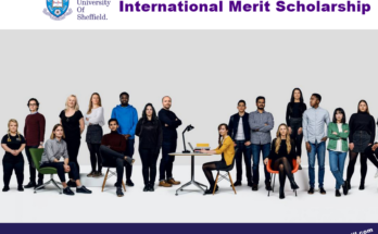 International Merit Postgraduate Scholarship at University of Sheffield - Study In UK