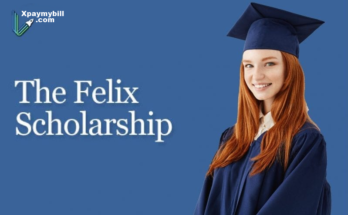 The Felix Scholarships Application for Students from Developing Countries