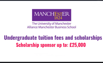 International Mathematical Excellence Scholarships at University of Manchester, UK