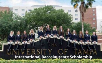 University of Tampa International Baccalaureate Scholarship