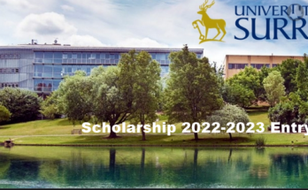 University of Surrey/ICE Scholarship 2022-2023 Entry Application Form