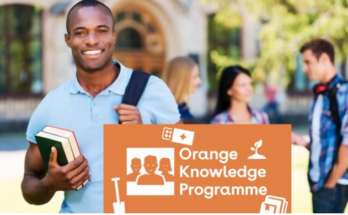 Orange Knowledge Programme 2023-2024 (OKP) Scholarships in The Netherlands