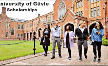 University of Gävle Scholarship for African Students in International Social Work